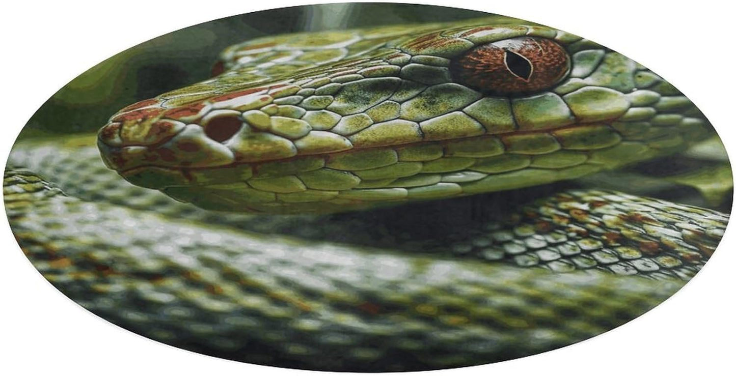 Green Snake Circle Rug Retro Luxury Coral Velvet Floor Mat Non Slip Soft Indoor Floor Carpet Comfy Thickened Area Rugs Modern Aesthetic Minimalist Carpets for Home Decor