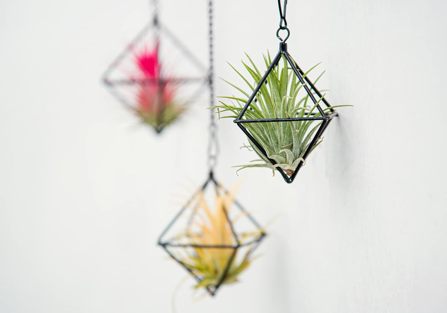 Small Air Plants Holders Black Hanging Airplants Hangers Iron Wire Airferns Display Frame Geometric Tillandsia Air Planter with Chains for Wall Mounted Himmeli Decor 6pcs(No Plants)