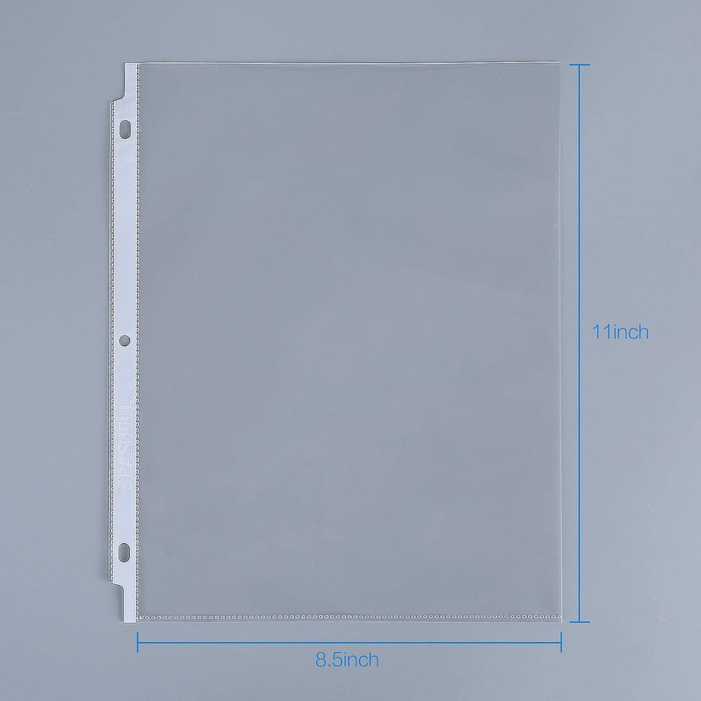 Seashell 250 Economy Sheet Protectors 8.5 x 11, Clear Plastic Page Protectors for 3 Ring Binder, Letter Size, Acid Free, Top Loading, Binder Sleeves for 8.5 x 11 Inch Sheets