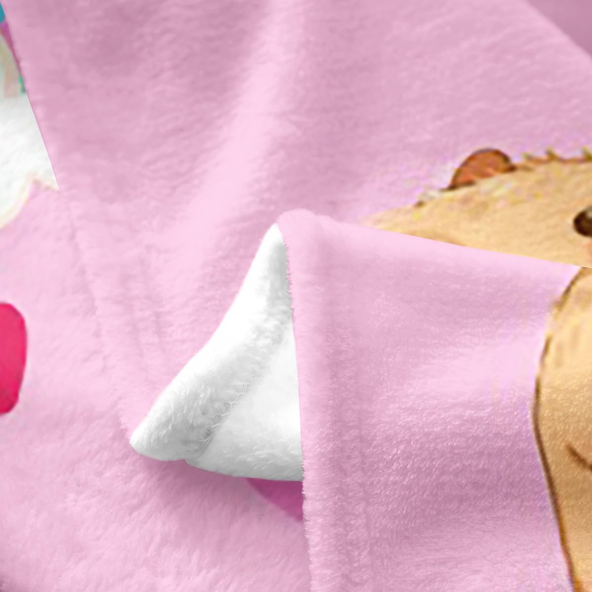 Erosebridal Kids Capybara Flannel Blanket,Twin 60x80 inch Rainbow Animal Bed Blanket for Boys Girls,Pink Love Heart Throw Blanket,Galaxy Clouds Stars Fleece Blanket for Living Room