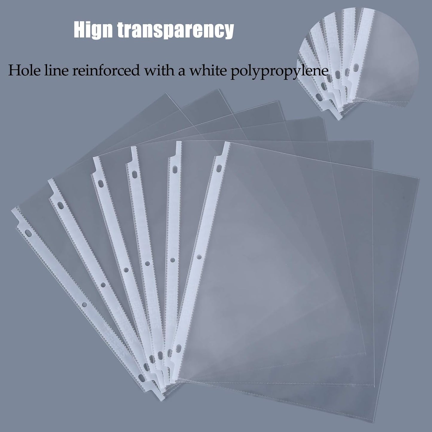 Seashell 250 Economy Sheet Protectors 8.5 x 11, Clear Plastic Page Protectors for 3 Ring Binder, Letter Size, Acid Free, Top Loading, Binder Sleeves for 8.5 x 11 Inch Sheets