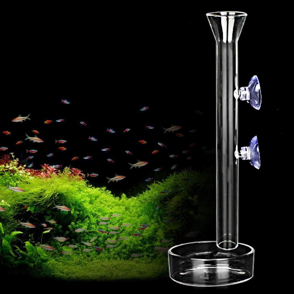 Shrimp Feeding Tube and Dish,Clear Crystal Glass Shrimp Feeder Tube Tray for Fish Tank Aquarium Shrimp (10")