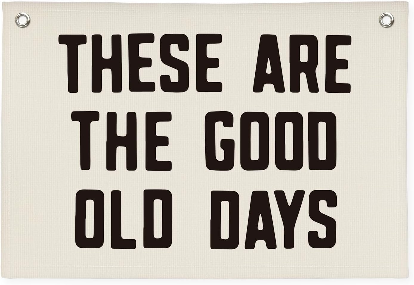 Kid Room Decor These Are The Good Old Days Canvas Banner,Banners for Room,Nursery Decor Inspirational Wall Decor Motivational Posters for Dorm Wall Decor Living Room Banner 30x20 Inch