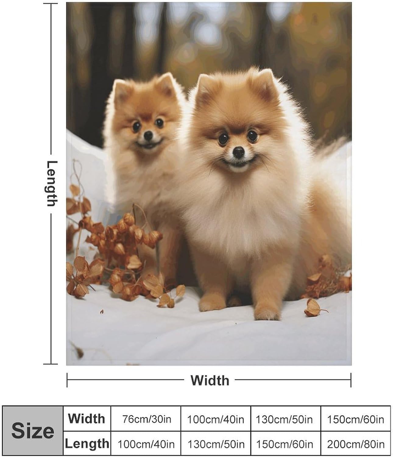 Cute Pomeranian Throw Blanket for Couch Super Soft Warm Lightweight Throw Blankets Cozy Flannel Bed Blanket Cute Decorative Blankets for All Seasons Home Decor Gift 50"*60"（130 * 150cm）
