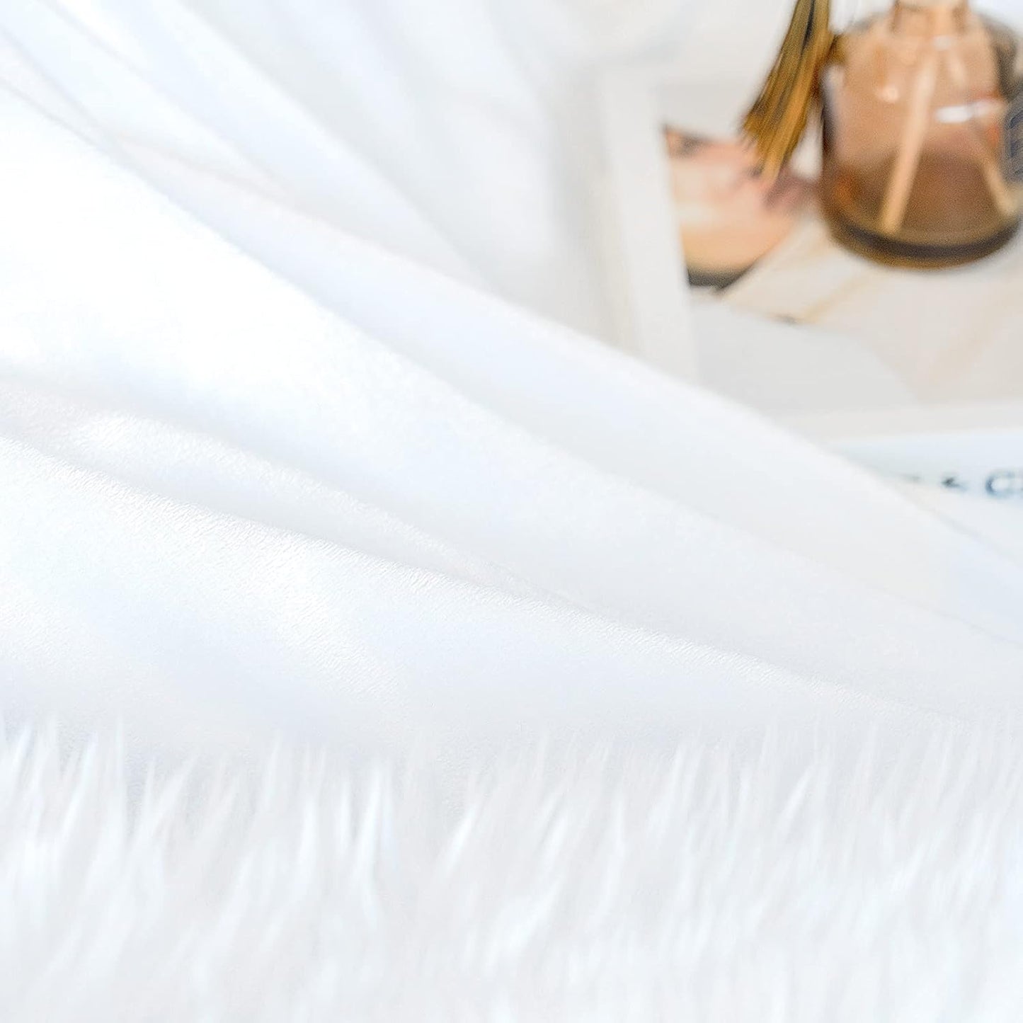 JONIYEAR Extra 2.8" Long Hair Fluffy Faux Fur Throw Blanket 50" x 60", Luxury Soft Decorative Fuzzy Furry Blankets for Couch, Cozy Plush Shaggy Blankets for Sofa Bed,Cute Lovely Blanket for Pet, White