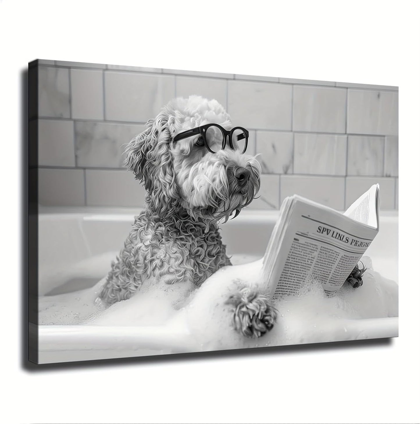 Goldendoodle in Bathtub Wall Art, Dog Reading Newspaper in Bubble Bath Poster, Black and White Print, Funny Wall Art, Bathroom Wall Decor (08x12inch Frame)