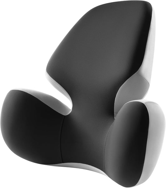 BEBAS Lumbar Support Pillow for Office Chair - Ergonomic Memory Foam Back Cushion for Lower Back Pain Relief - Washable & Breathable Cover - Fits Car Seats, Gaming Chairs & Wheelchairs - Black Gray