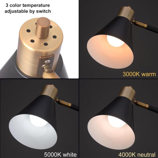 Adjustable Reading Floor Lamp,360°Rotatable Shade,3CCT LED Bulb Include,Black