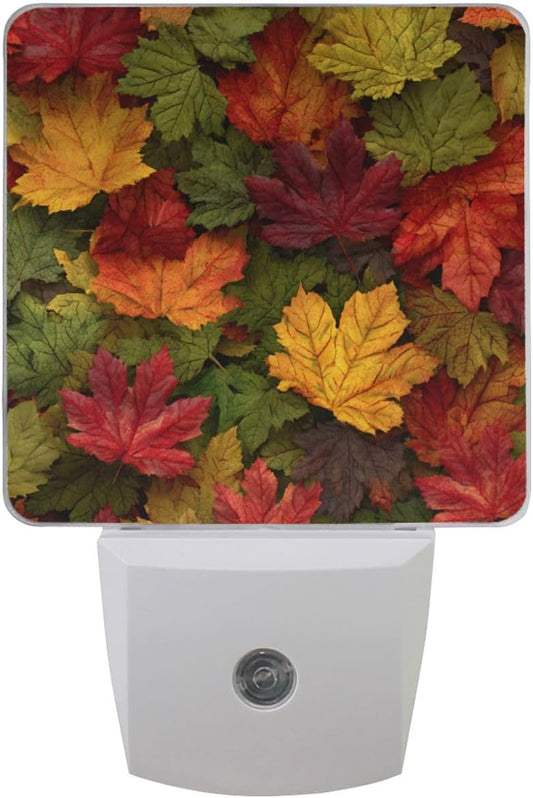 Pfrewn Autumn Colorful Maple Leaf Night Light plug in Set of 2 for Kids Adults Boys Girls Babies,Retro Fall Sunflower Night lights Led Auto Motion Senor for Reading Bathroom Bedroom Nursery Decorative