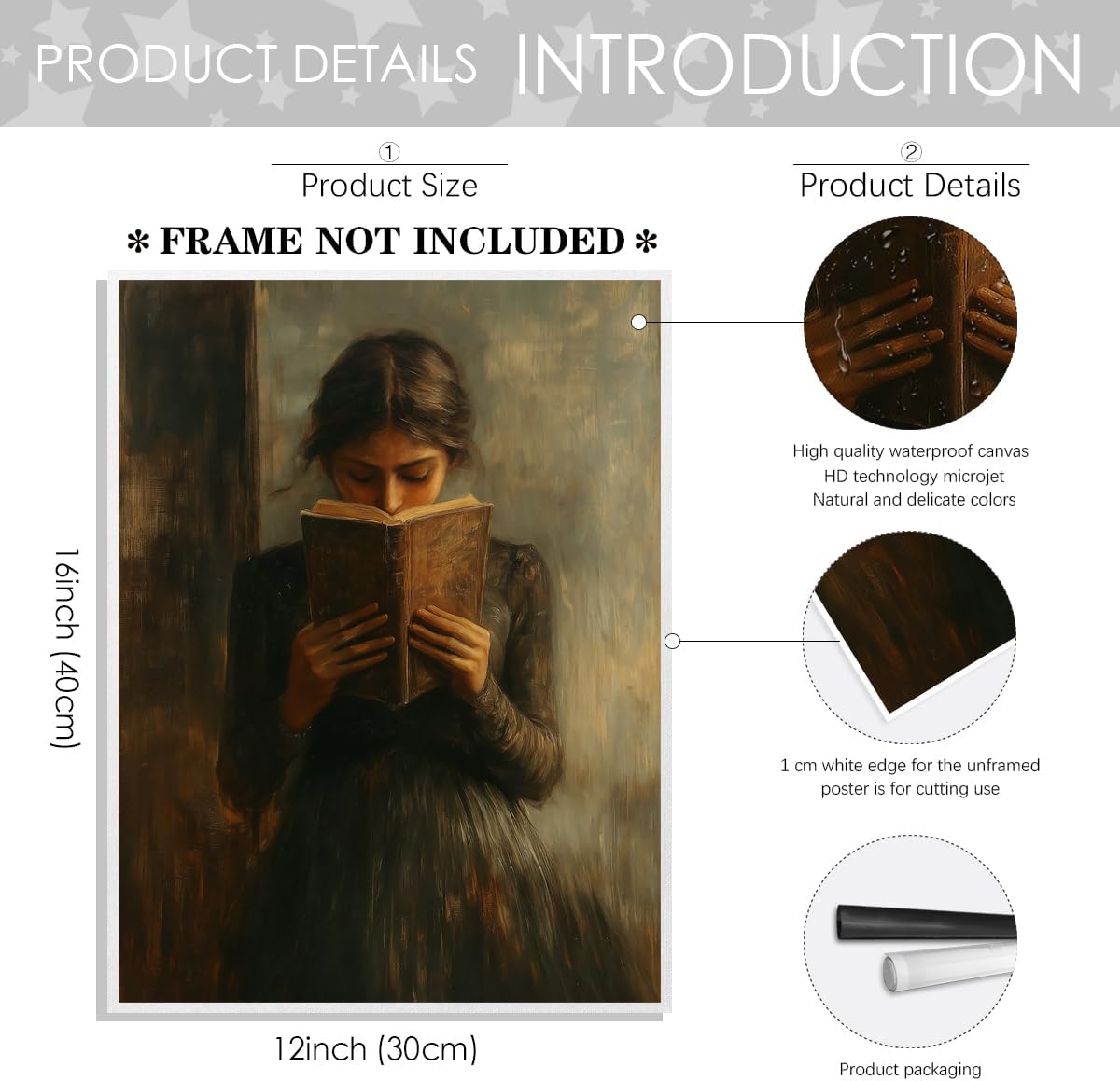 Heltrappe Dark Academia book wall art Decor Victorian Woman Reading Bookish Wall Art Print posters vintage book room library nook Decor Paintings Picture Moody Girl Aesthetic Poster 12x16in Unframed