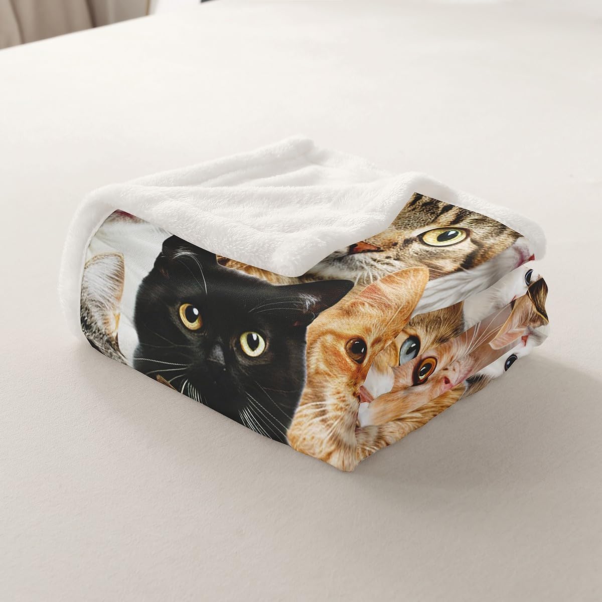 Cat Plush Blanket Cute Kitten Pet Fleece Throw Blanket Lovely Funny Cats Animal Pattern Sherpa Blanket for Bed Sofa Couch Microfiber Toddler Kawaii Fuzzy Blanket Room Decor Twin 60"x80"