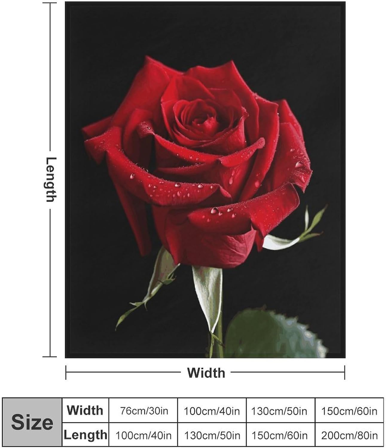 Red Rose Black Background2 Blanket Super Soft Lightweight Throw Blanket Cute Cozy Warm Bed Blanket Decorative Fuzzy Blanket All-Season Home Decor Gift for Sofa Couch Living Room 60"*80"（150 * 200cm）