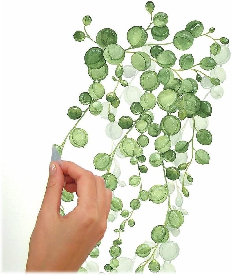 RoomMates RMK3903SCS String of Pearls Succulent Vine Peel and Stick Wall Decals