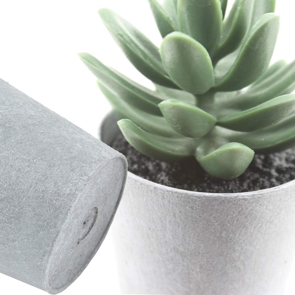 Artificial Succulents Set of 3 Mini Realistic Fake Plants with Plastic Pots for Home and Office Decoration, Including Aloe, Echeveria laui and Haworthia coarctata f. greenii, 4in (H) x 3.5in (W)