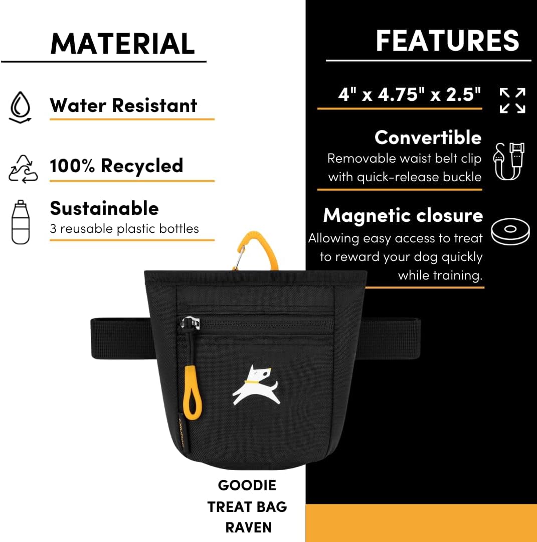 OllyDog Goodie Treat Bag, Dog Treat Pouch, Waist Belt Clip for Hands-Free Training, Magnetic Closure, Dog Training and Behavior Aids, Three Ways to Wear (Raven S'25)