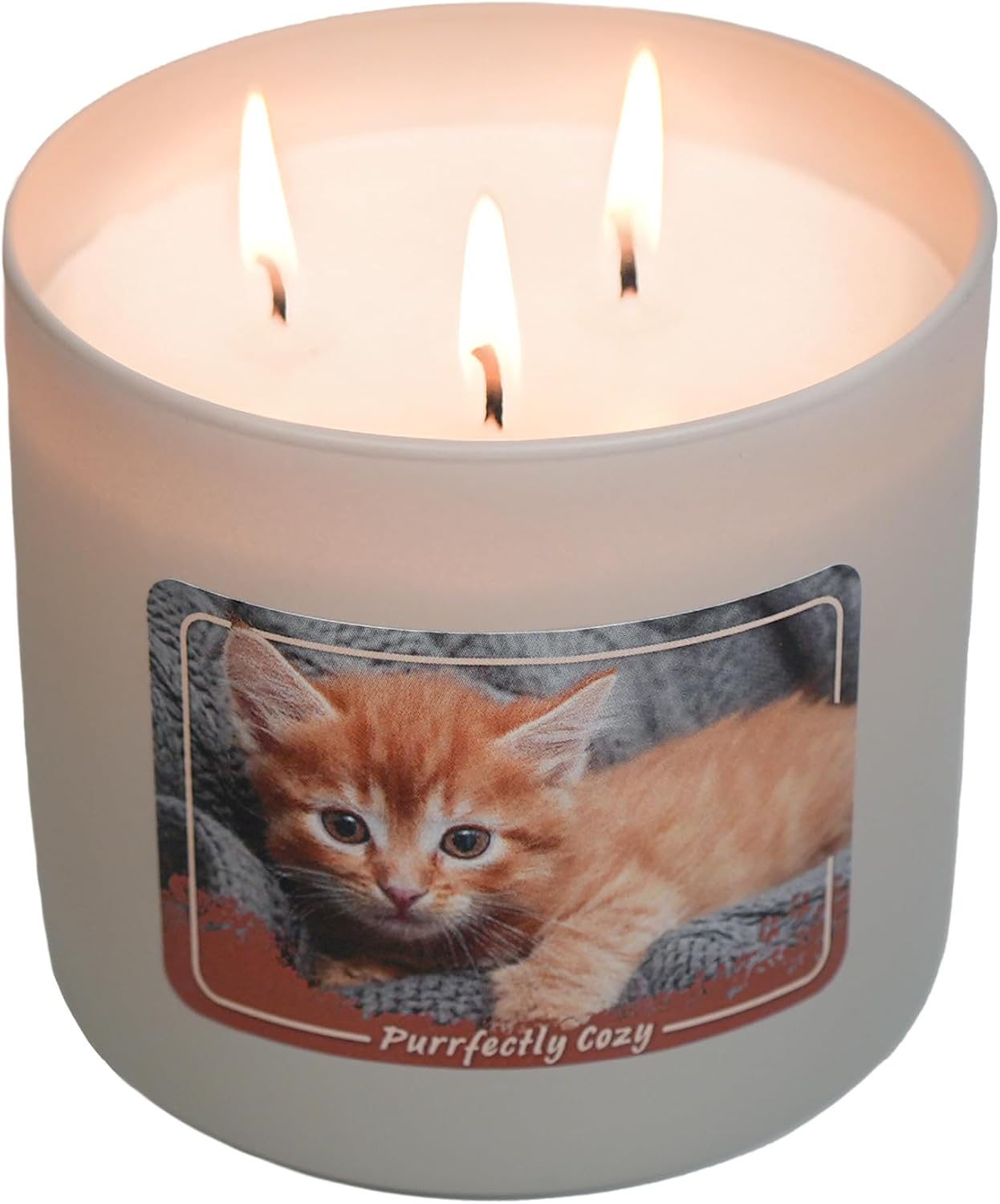 Colonial Candle Purrfectly Cozy Scented Jar Candle, 14 oz - Warm & Comforting Fragrance, Long-Lasting Burn, Made in The USA