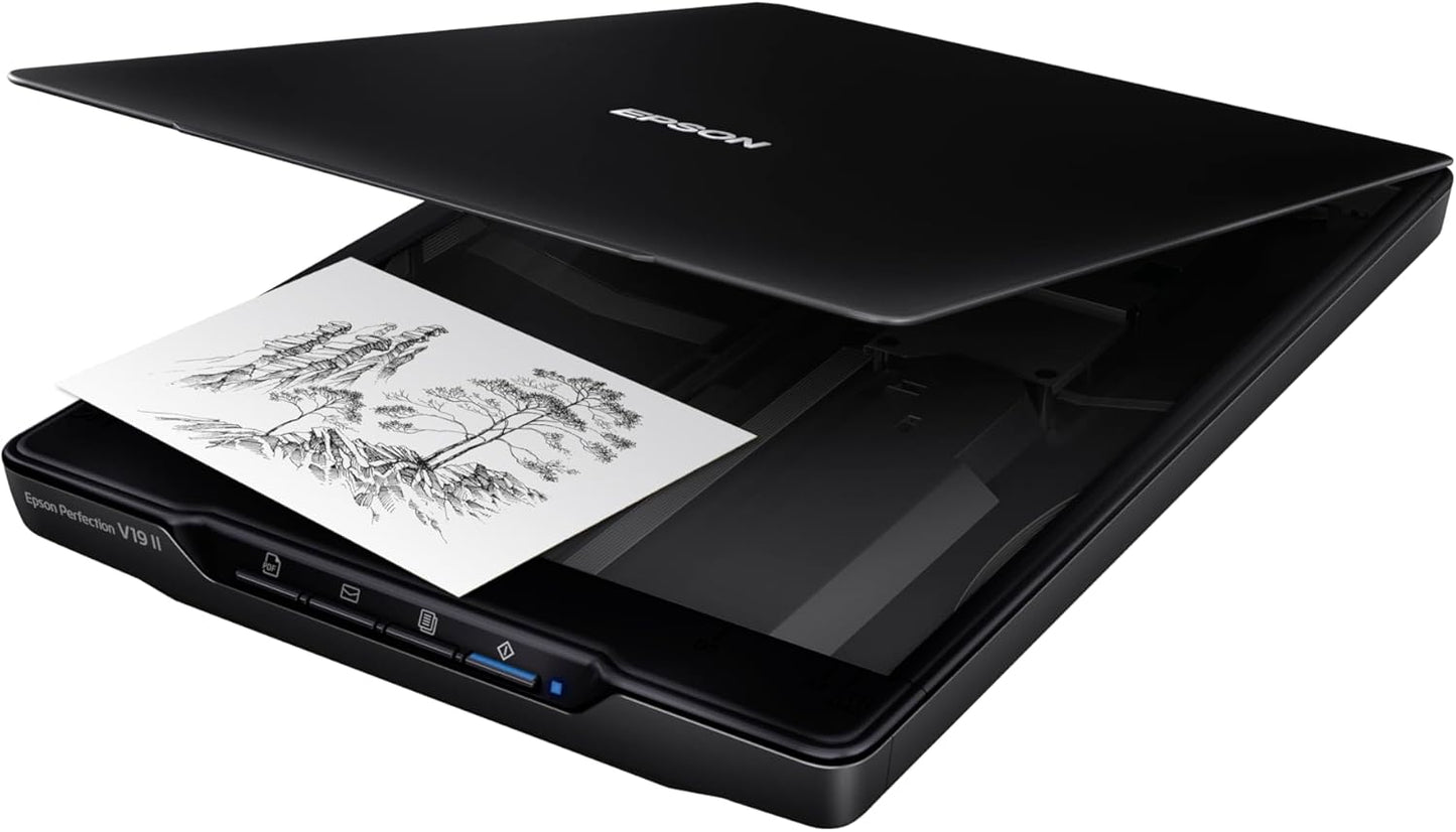Epson Perfection V19 II Color Photo and Document Flatbed Scanner with 4800 dpi Optical Resolution USB Power, High-Rise, Removable Lid