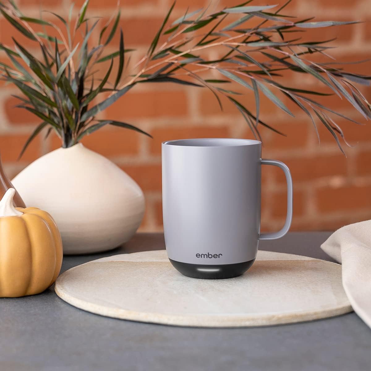 Ember Temperature Control Smart Mug 2, 14 Oz, App-Controlled Heated Coffee Mug with 80 Min Battery Life and Improved Design, GrayModel