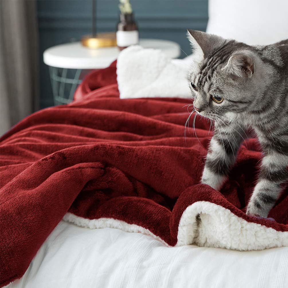 LBRO2M Sherpa Fleece Bed Blanket King Size Super Soft Fuzzy Plush Warm Cozy Fluffy Microfiber Couch Throw Velvet Double Reversible Blankets,Red