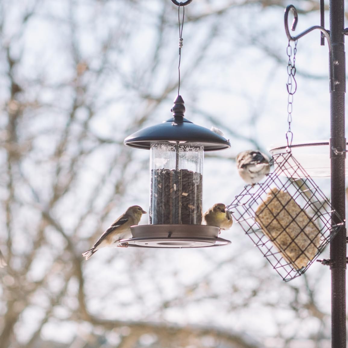 Metal Bird Feeder for Outside Hanging,Wild Bird Feeders for Cardinal, Large Roof and Tray - 6 Port