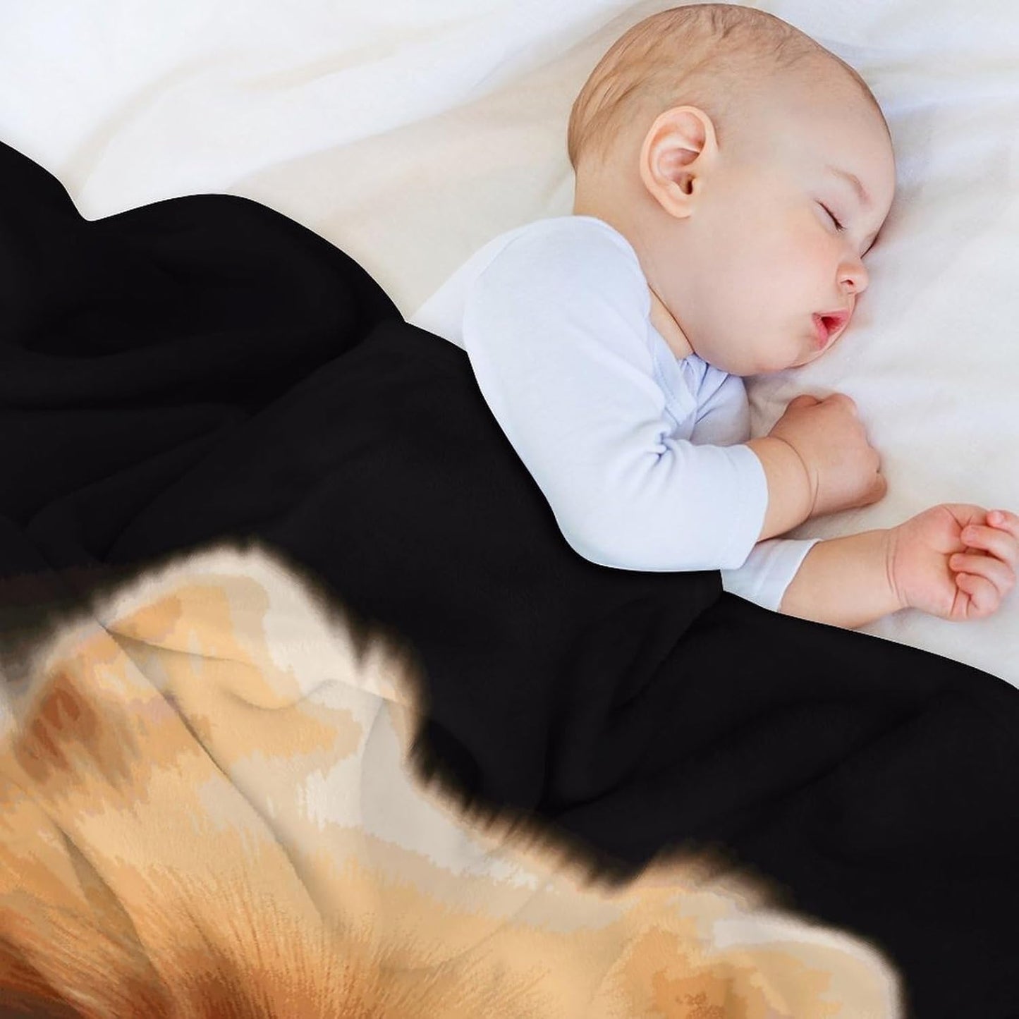 Pomeranian Blanket Super Soft Lightweight Throw Blanket Cute Cozy Warm Bed Blanket Decorative Fuzzy Blanket All-Season Home Decor Gift for Sofa Couch Living Room 60"*80"（150 * 200cm）