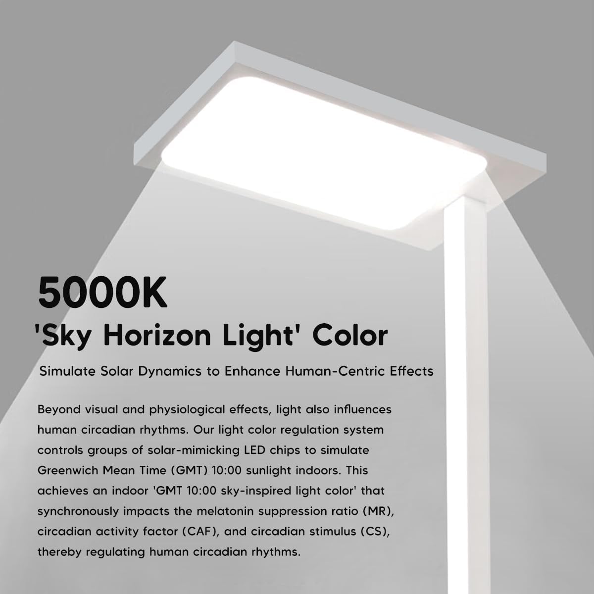 71" Tall Floor Lamp for Studying,Reading Lamp, 5000K Natural Light Full Spectrum Eye-Caring LED Floor Lamp – Plug-in Standing Light for Bedroom, Office, Classroom (18” Wide, 47” Cord, Acrylic & Iron)
