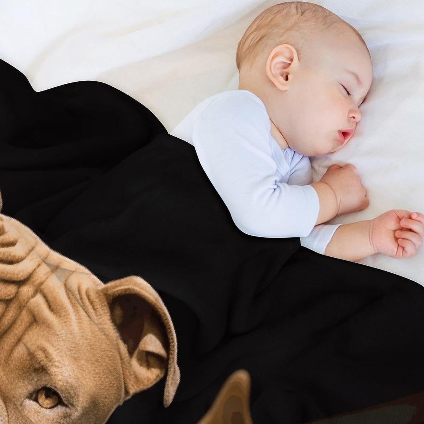 Pitbull Dogs Blanket Super Soft Lightweight Throw Blanket Cute Cozy Warm Bed Blanket Decorative Fuzzy Blanket All-Season Home Decor Gift for Sofa Couch Living Room 50"*60"（130 * 150cm）
