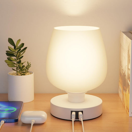 Touch Bedside Table Lamp with 2 USB Ports - 3 Way Dimmable Modern Small Lamps for Bedroom Living Room Nightstand, Desk Lamps with White Opal Glass Lamp Shade, Warm LED Bulb, Bulb Included