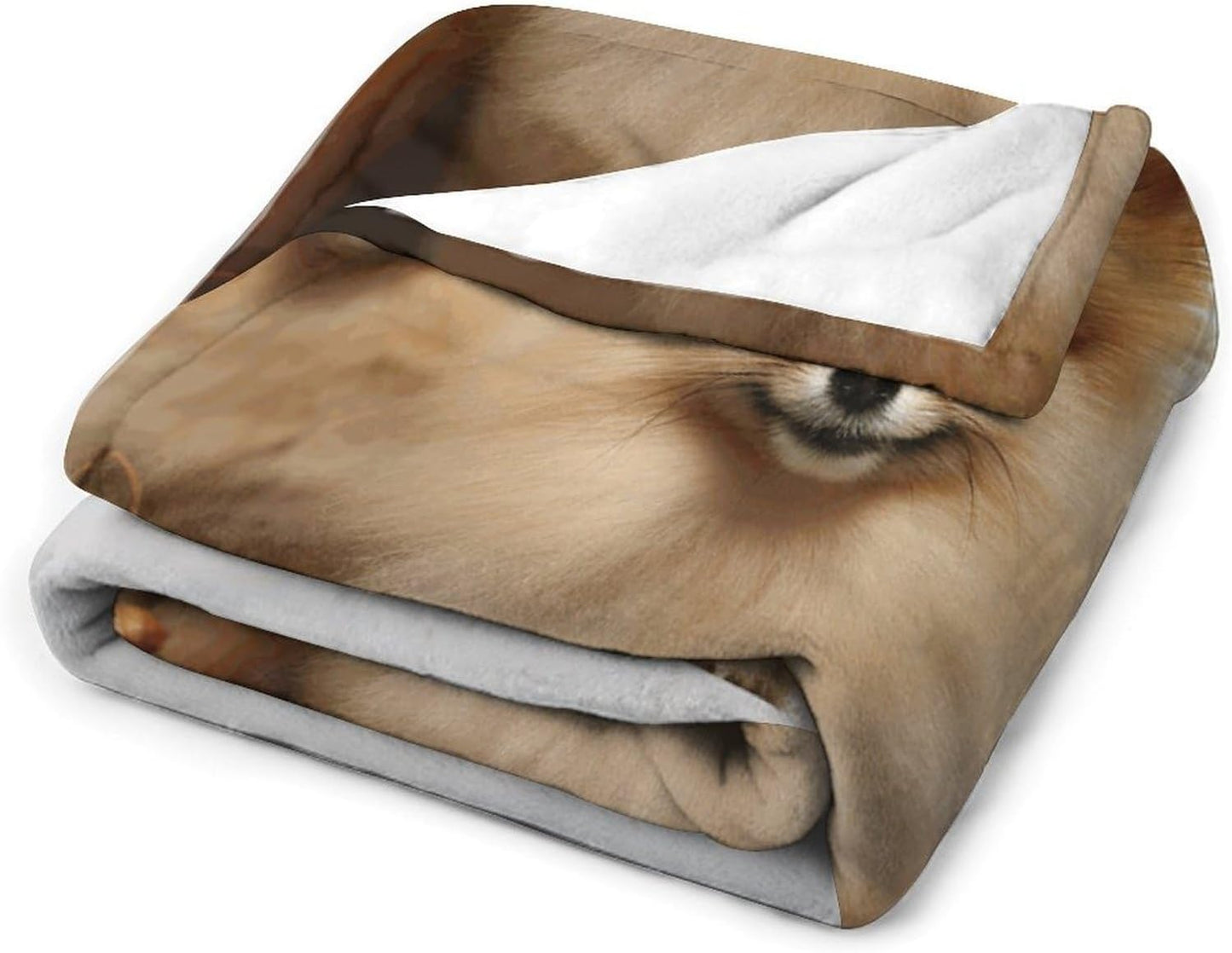 Cute Pomeranian Throw Blanket for Couch Super Soft Warm Lightweight Throw Blankets Cozy Flannel Bed Blanket Cute Decorative Blankets for All Seasons Home Decor Gift 50"*60"（130 * 150cm）
