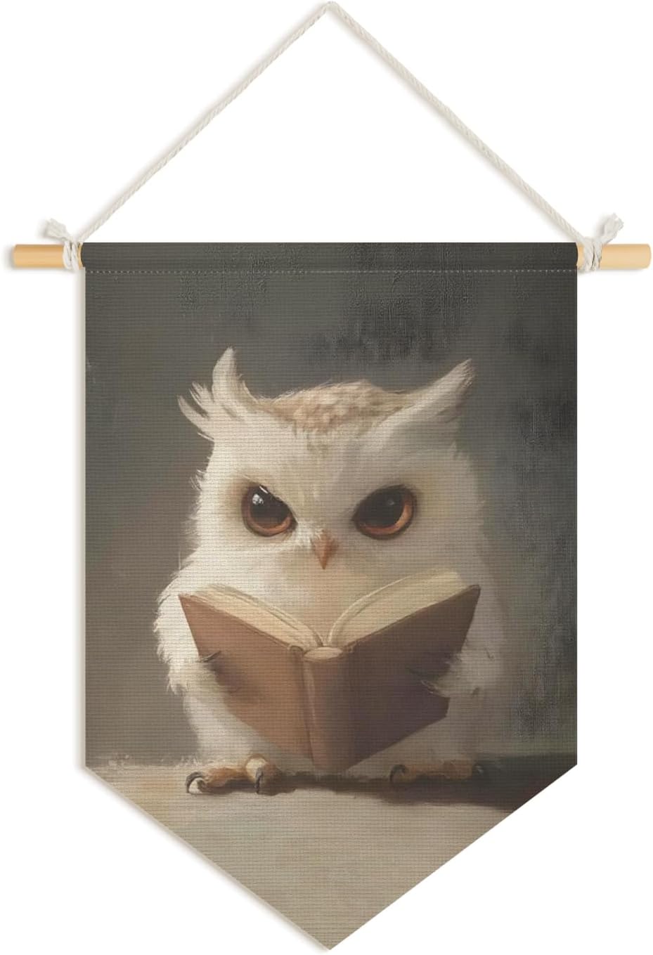 Wheatwin Kids Room Decor, Cute Owl Reading Book Wall Hanging Pennant Flag Banner, Owl Wall Decor for Boys Girls Toddler Nursery Reading Corner Nook Room Bedroom Classroom 15x11 Inch