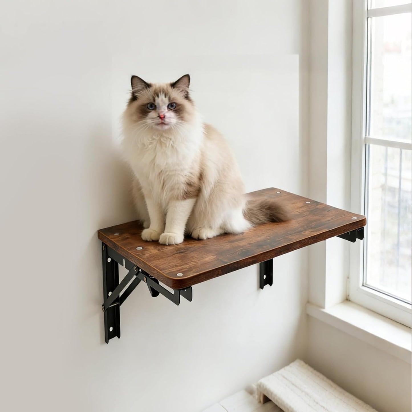 Wooden Folding Shelf Wall Mounted for Small Space, Wall Table for Living Room Bedroom Decor, Home Office Floating Fold Down Desk, Media Shelves with Heavy-Duty Brackets Holds Up to 30lbs, 16.5"*11.8"