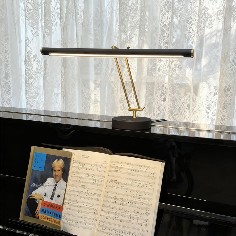 LED Piano Light with Swing Arm, Eye-Caring Paino Lamp, Professional Music Score Lamp,Reading Light,Adjustable Color Temperature & Brightness,Dual USB Charging Port,Desk Lamp for Piano Players(Black)