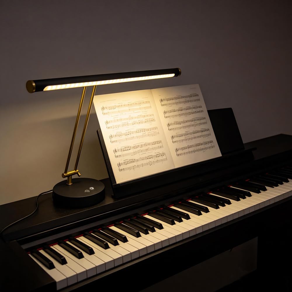 LED Piano Light with Swing Arm, Eye-Caring Paino Lamp, Professional Music Score Lamp,Reading Light,Adjustable Color Temperature & Brightness,Dual USB Charging Port,Desk Lamp for Piano Players(Black)