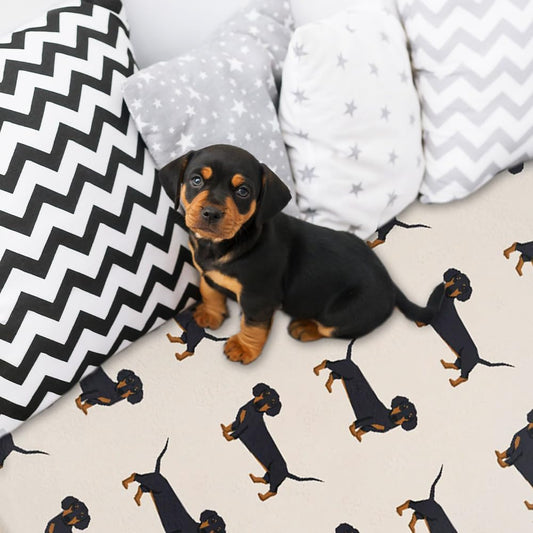 Cute Wiener Dog Dachshund Throw Blanket Fannel Fleece Super Soft Funny Blanket Travel Throw Blanket for Bed Couch Sofa 40 x 50 Inch for Kid