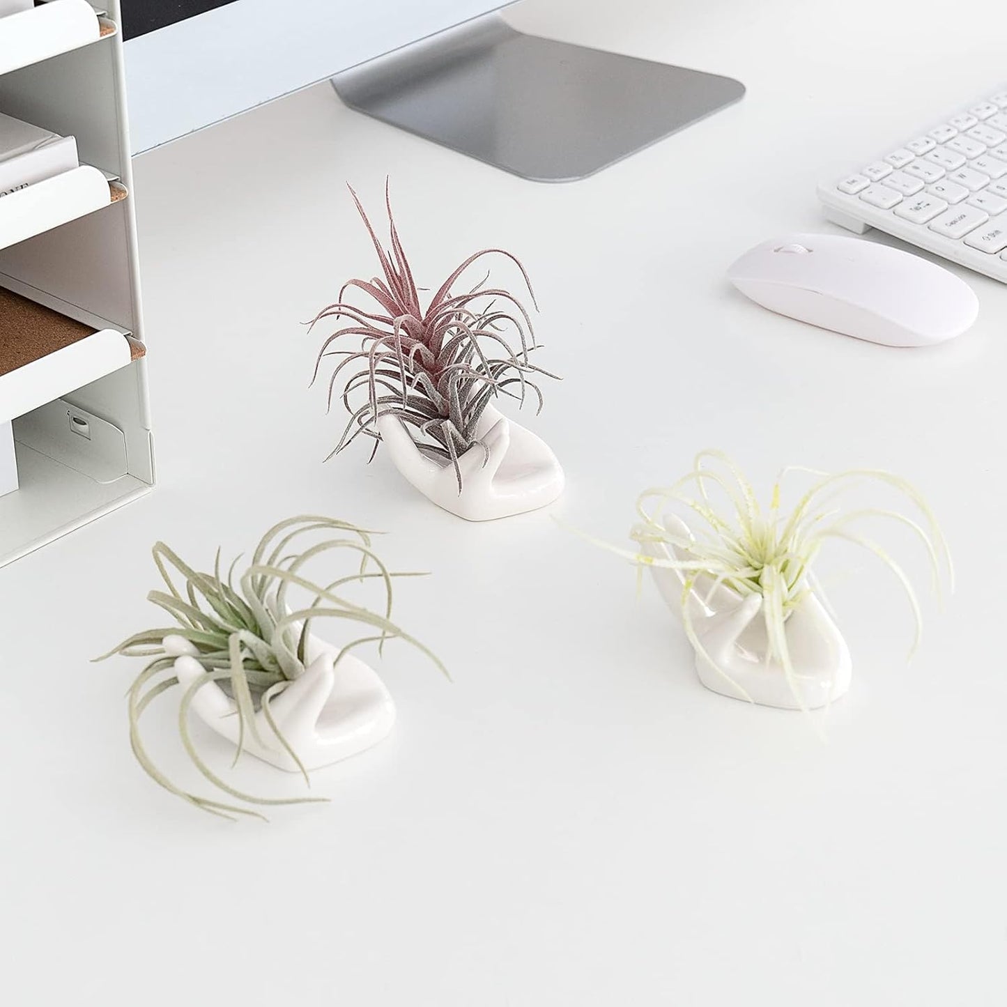 Dahey Mini Air Plant Holder Cute Ceramic Hand Shape Stand Airplants Tillandsia Small Container Pot Plant Decorative Home Decor for Desk Table Shelf, White, 1 Pack (No Plant Included)