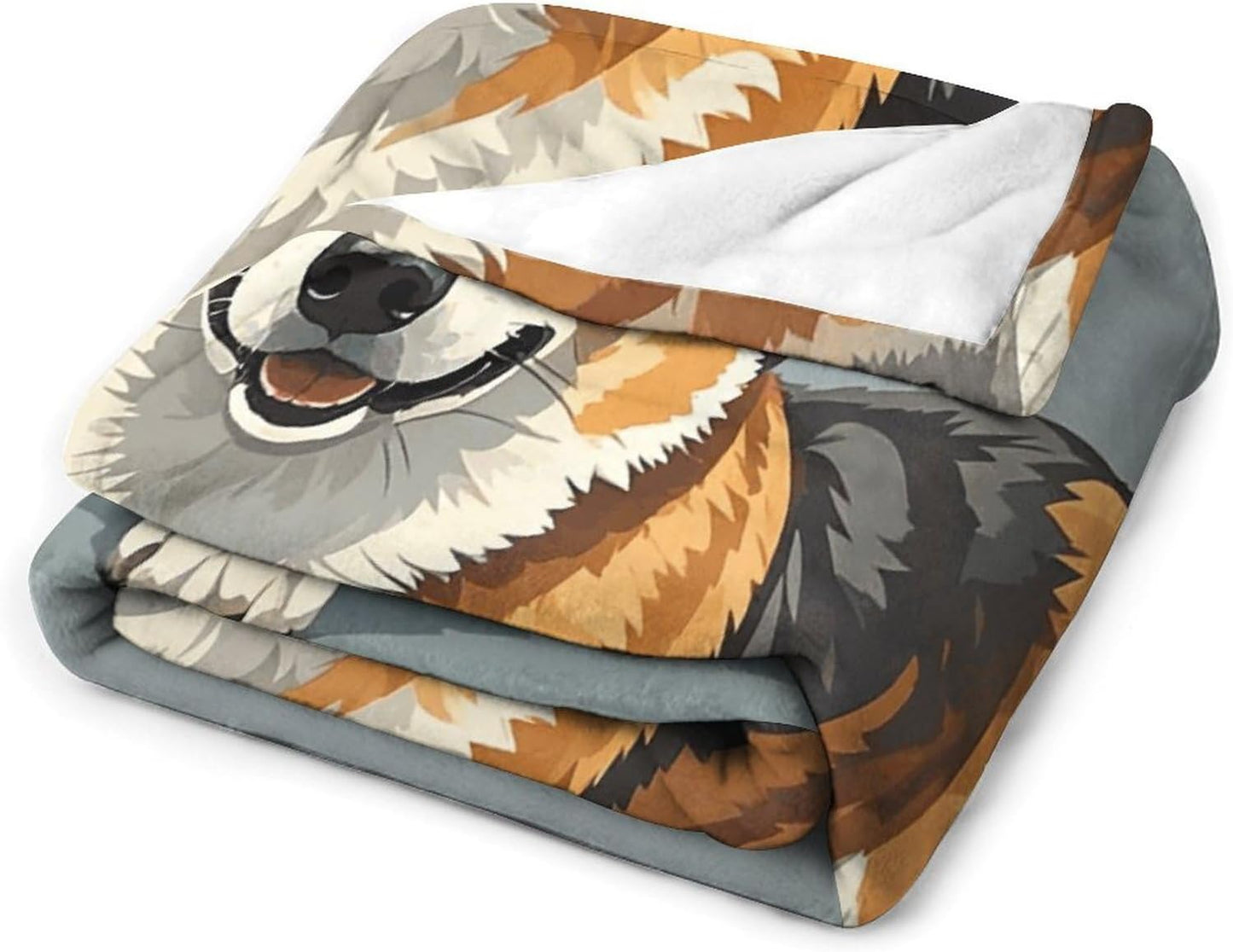Corgi Pattern Corgi Pattern Blanket Super Soft Lightweight Throw Blanket Cute Cozy Warm Bed Blanket Decorative Fuzzy Blanket All-Season Home Decor Gift for Sofa Couch Living Room 60"*80"（150 * 200cm）
