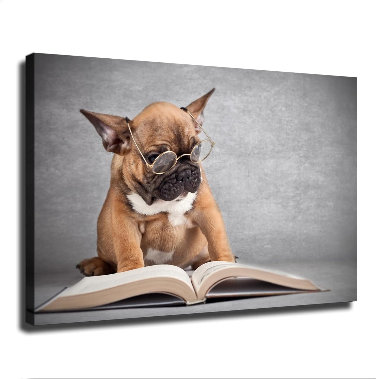 Bulldog Dog Reading Book Cute Puppy Animal Poster Decorative Painting Print Modern Home Bedroom Living Room Decoration Canvas Wall Art Aesthetic (12×18inch_Framed)