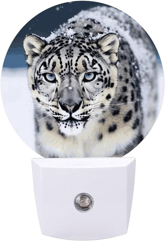 Blue Eyed Snow Leopard LED Plug in Night Light 0.5w Night Lights Plug Into Wall with Auto Dusk to Dawn Sensor Portable Bathroom Nightlights Small Dimmable Lamp Energy Efficient Bedside Light (Round)