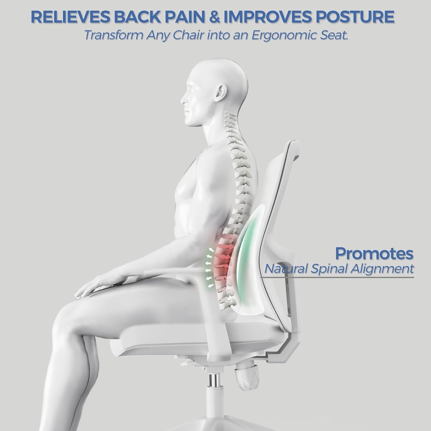 Lumbar Support Pillow for Office Chair and Car with All-Season Adaptive Memory Foam, Ergonomic Back Support for Lower Back Pain Relief, Stay-Put Stain-Proof Silicone Grip (Black)