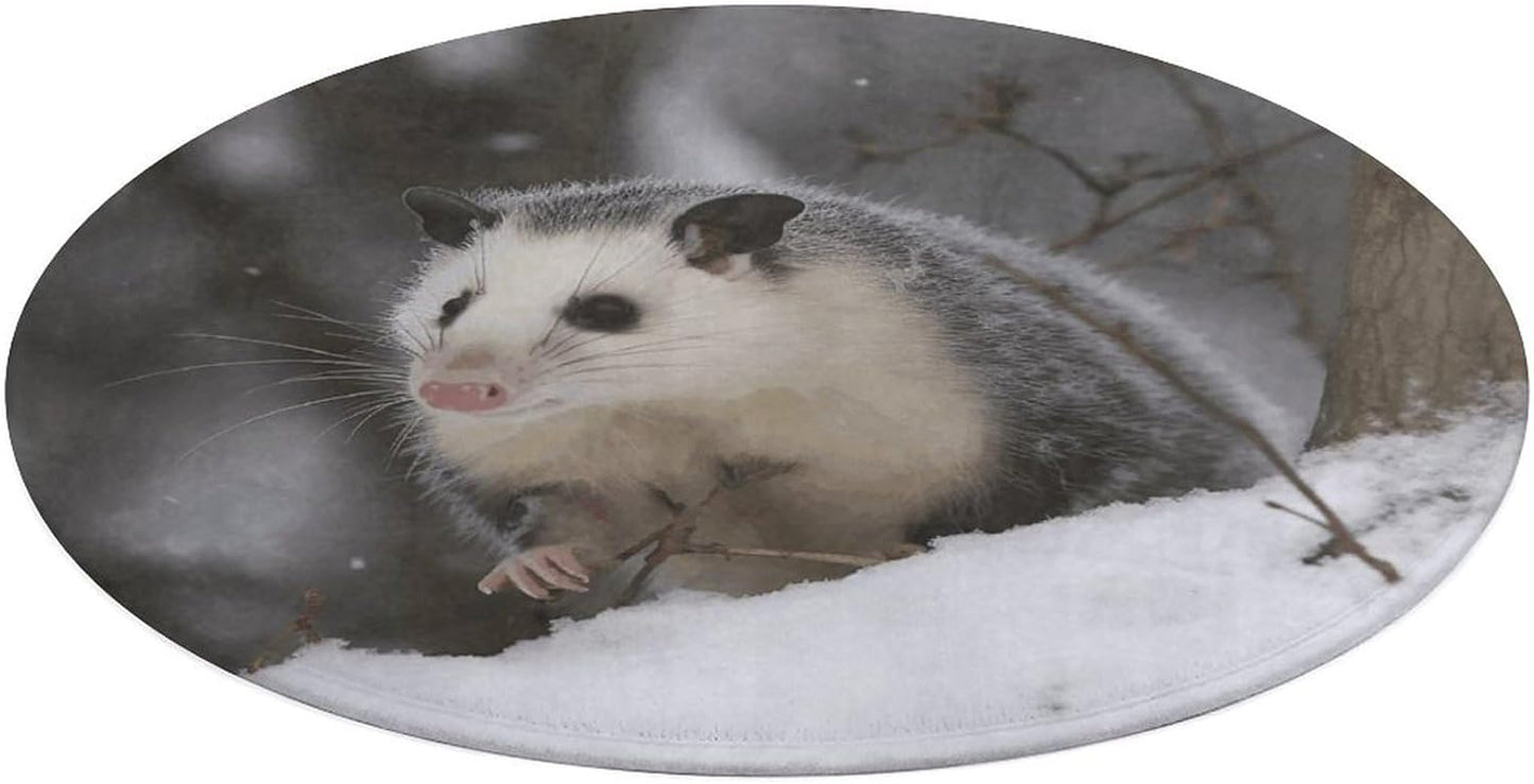 Opossum in Snow Circle Rug Retro Luxury Coral Velvet Floor Mat Non Slip Soft Indoor Floor Carpet Comfy Thickened Area Rugs Modern Aesthetic Minimalist Carpets for Home Decor