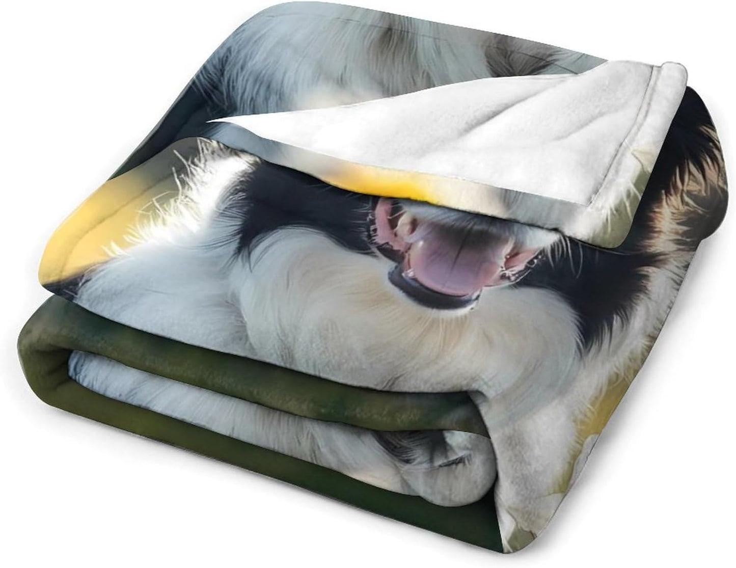 Border Collie Dog Throw Blanket for Couch Bed Plush Cozy Fuzzy Flannel Blanket for All Season 40"x50"