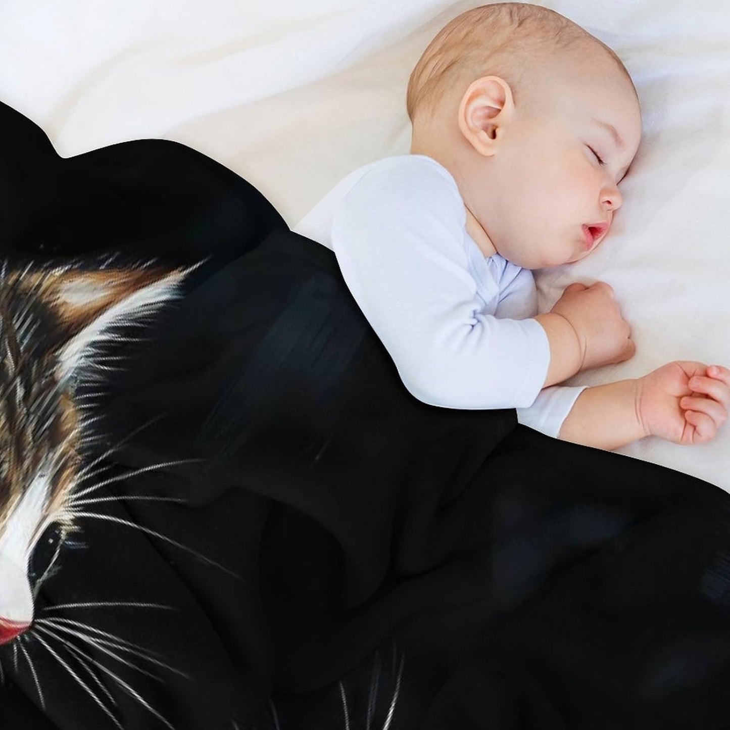 Funny Cat and Fat Throw Blanket for Couch Bed Plush Cozy Fuzzy Flannel Blanket for All Season 66"x90"