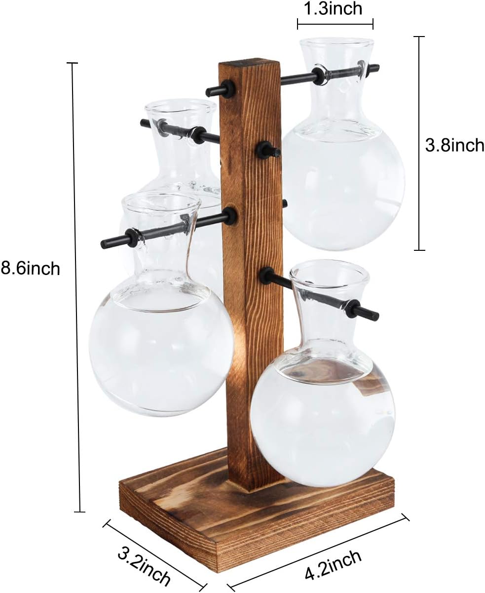 PAG Planter Terrariums Kit Desktop Hydroponics Air Plant Holder with 4 Bulb Beaker Glass Vase and Solid Wood Stand, Home Office Decoration Gardening Gift for Women