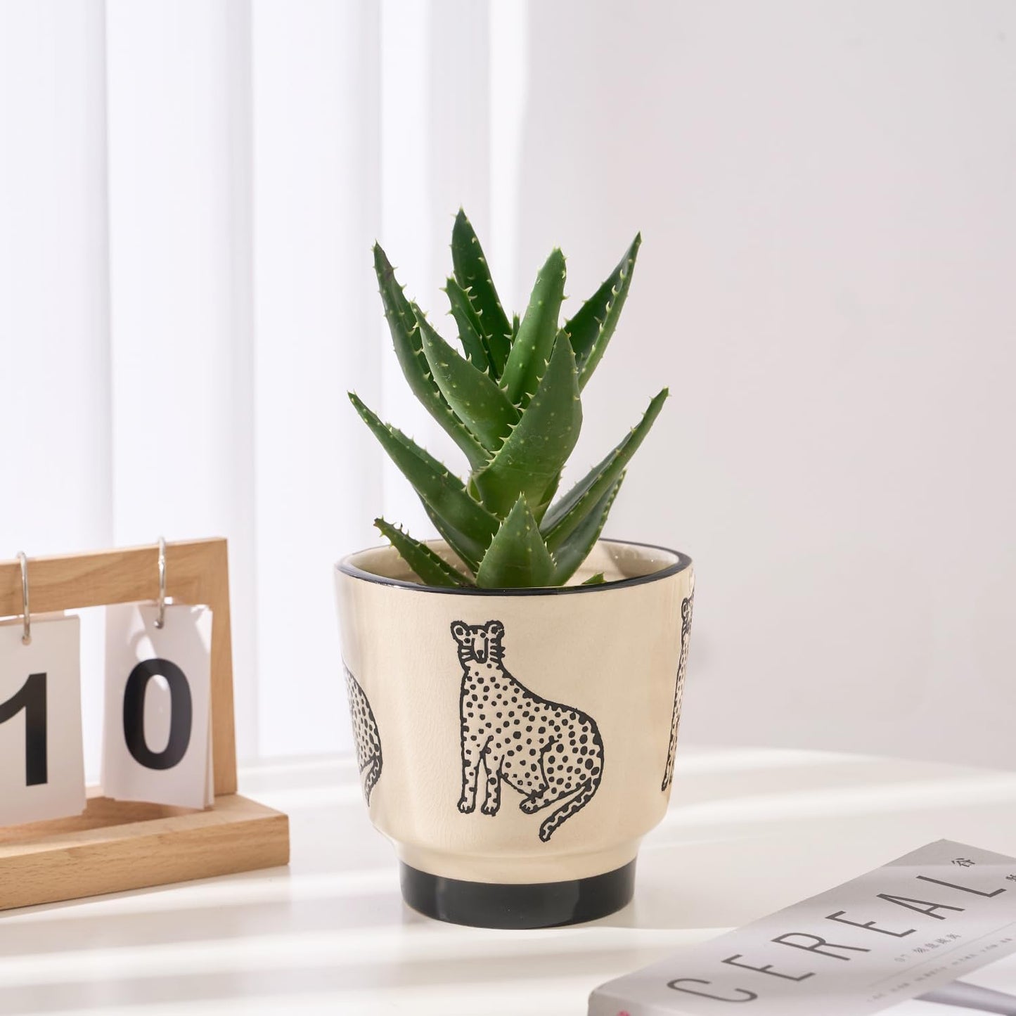 5 Inch Ceramic Planters for Indoor Plants, Funny Small Plant Pots with Drainage, Unique Decorative Cute Flower Pot Panthers Round Flowerpots