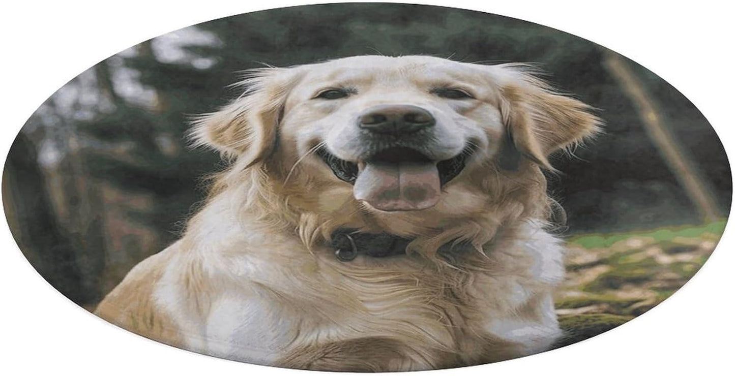 Funny Golden Retriever Circle Rug Retro Luxury Coral Velvet Floor Mat Non Slip Soft Indoor Floor Carpet Comfy Thickened Area Rugs Modern Aesthetic Minimalist Carpets for Home Decor