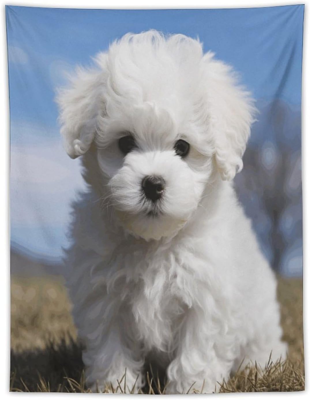 FodPand Bichon Frise Dog Tapestry Anti-fading Wall Tapestry with Installation Kit Backdrop Banner Multipurpose Aesthetic Tapestries Boho Wall Art Hanging Decorative Blanket 30"x40"
