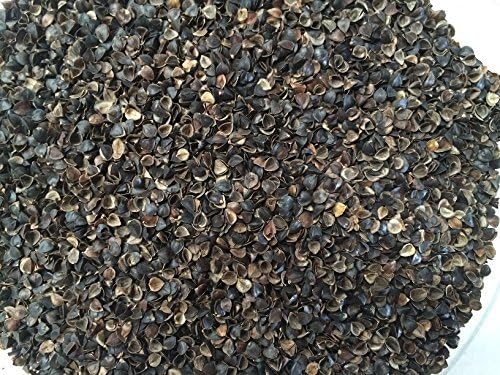Beans72 Organic Buckwheat Pillow - Travel/ Child Size (11 inches x 16 inches)