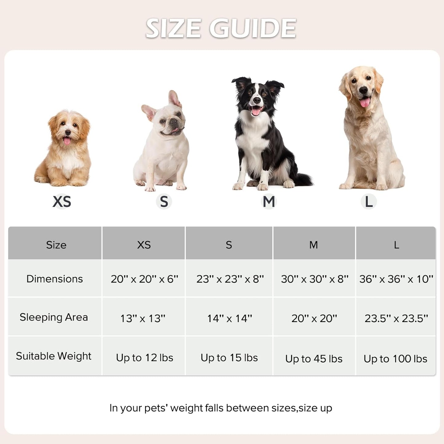 JOEJOY Donut Dog Bed Medium Size Dog, Cute Round Calming Pet Bed with Removable Washable Cover, Orthopedic Puppy Bed with Jacquard Shaggy Plush & Non Skid Bottom