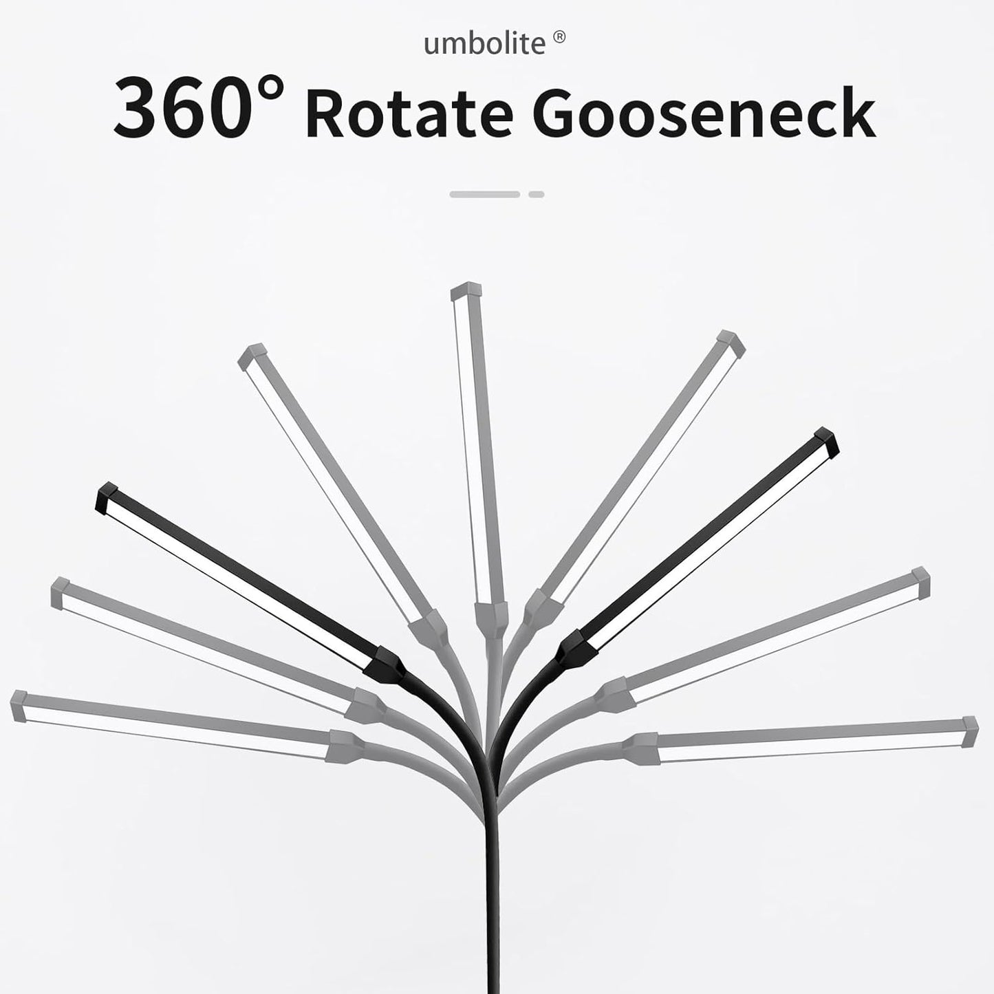 Lash Light, LED Floor Lamp, Reading Floor Lamp, Adjustable Gooseneck, 3 Heights, 10W Dual Brightness, Portable Standing Lamp for Eyelash Extensions, Makeup, Office