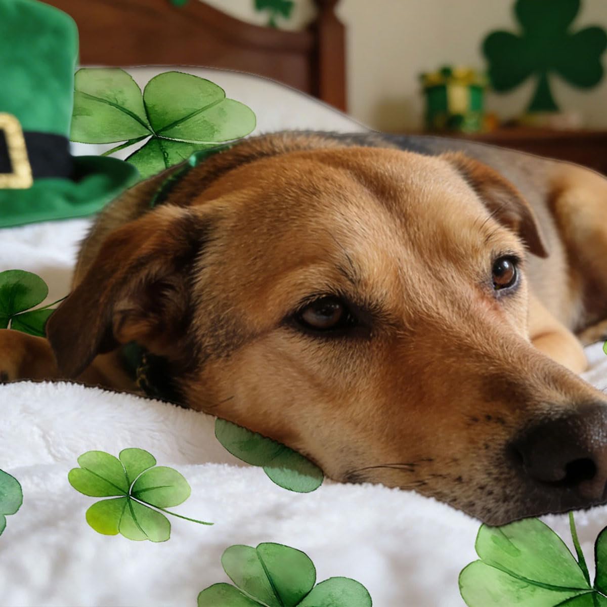 St Patricks Day Throw Blanket Watercolor Shamrock Green Clover Irish Soft Cozy Flannel Blankets for Bed Sofa Couch Chair Home Decorations 50 x 60 Inch